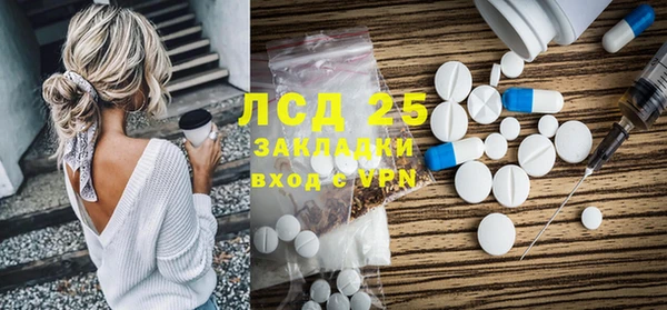 гидра Бородино