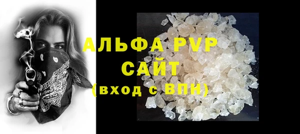 гидра Бородино