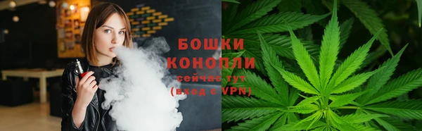 гидра Бородино