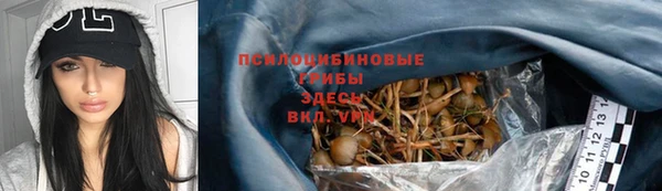 прущий лед Богородицк
