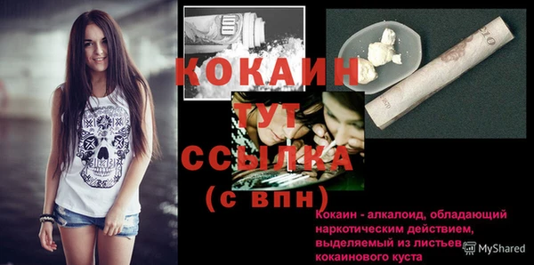эйфоретик Богданович