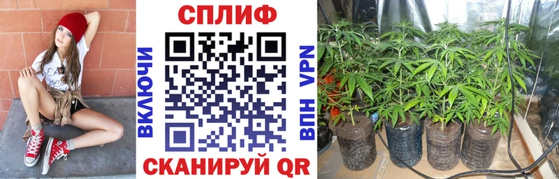 Конопля LSD WEED Надым